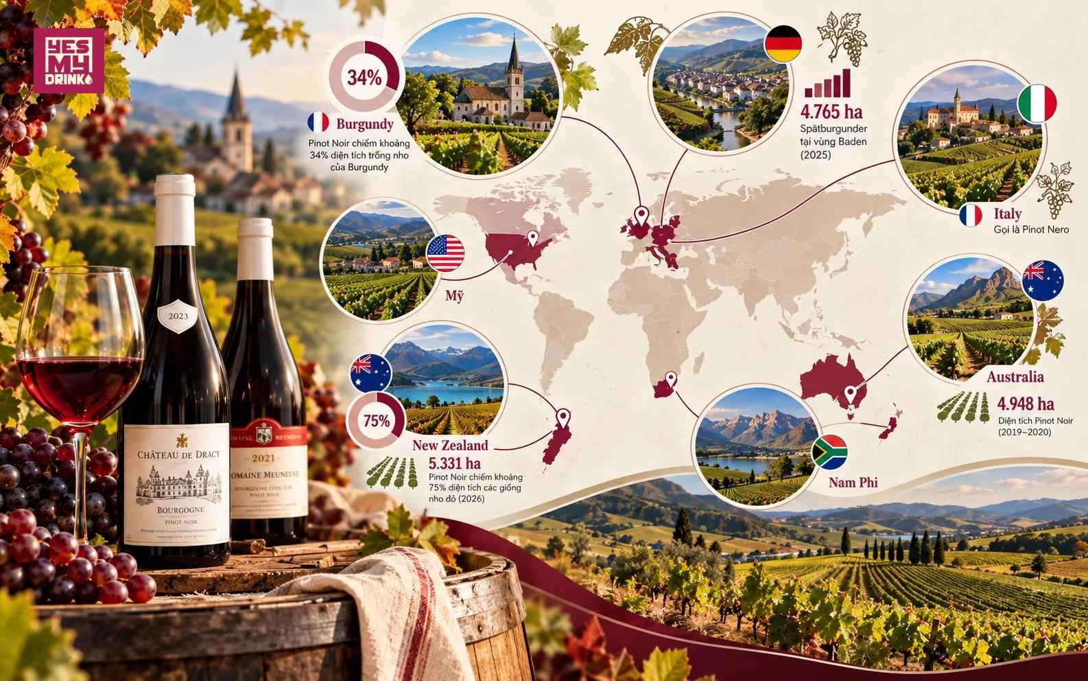 Bản đồ các vùng sản xuất rượu vang Pinot Noir nổi tiếng thế giới Bản đồ các vùng sản xuất rượu vang Pinot Noir nổi tiếng thế giới