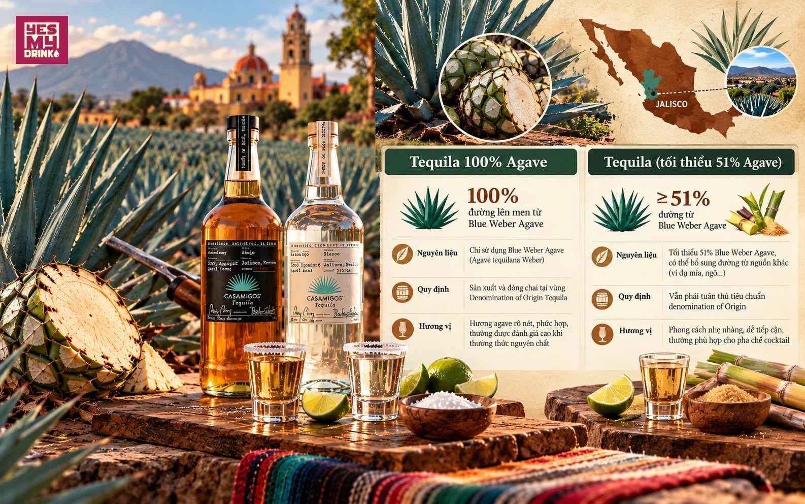 Blue Weber Agave là nguyên liệu đặc trưng tạo nên bản sắc của Tequila Mexico.