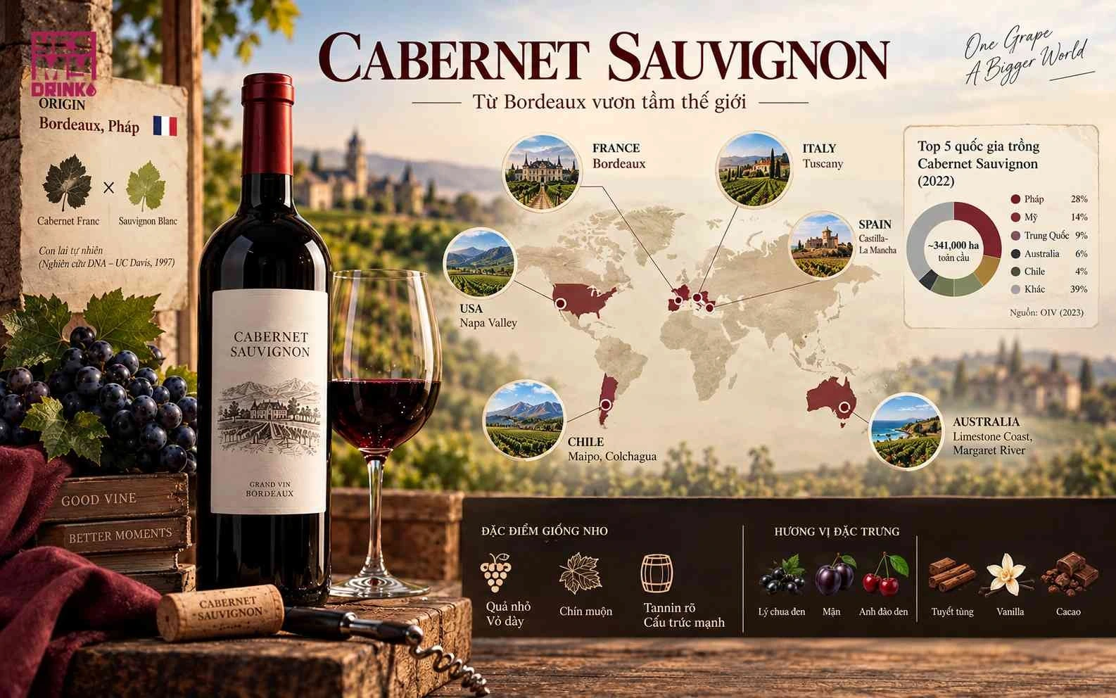 Bản đồ các vùng sản xuất rượu vang Cabernet Sauvignon