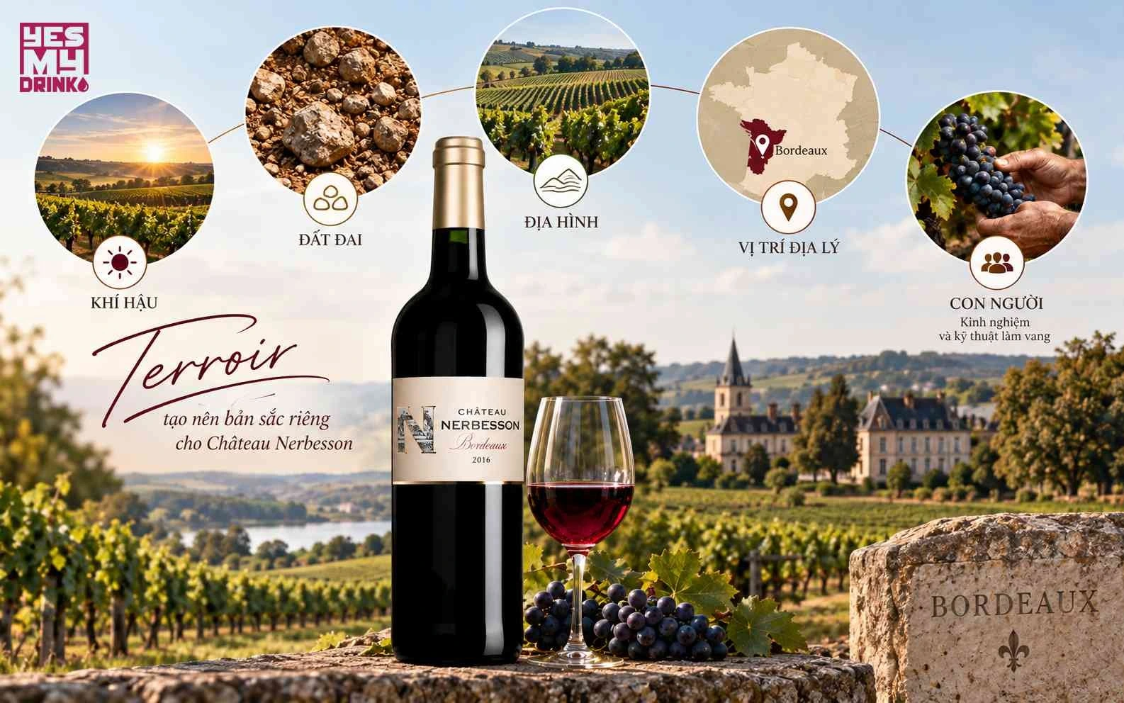 Mô tả về Terroir của Chai AOP Bordeaux CHÂTEAU NERBESSON 2016 Mô tả về Terroir của Chai AOP Bordeaux CHÂTEAU NERBESSON 2016