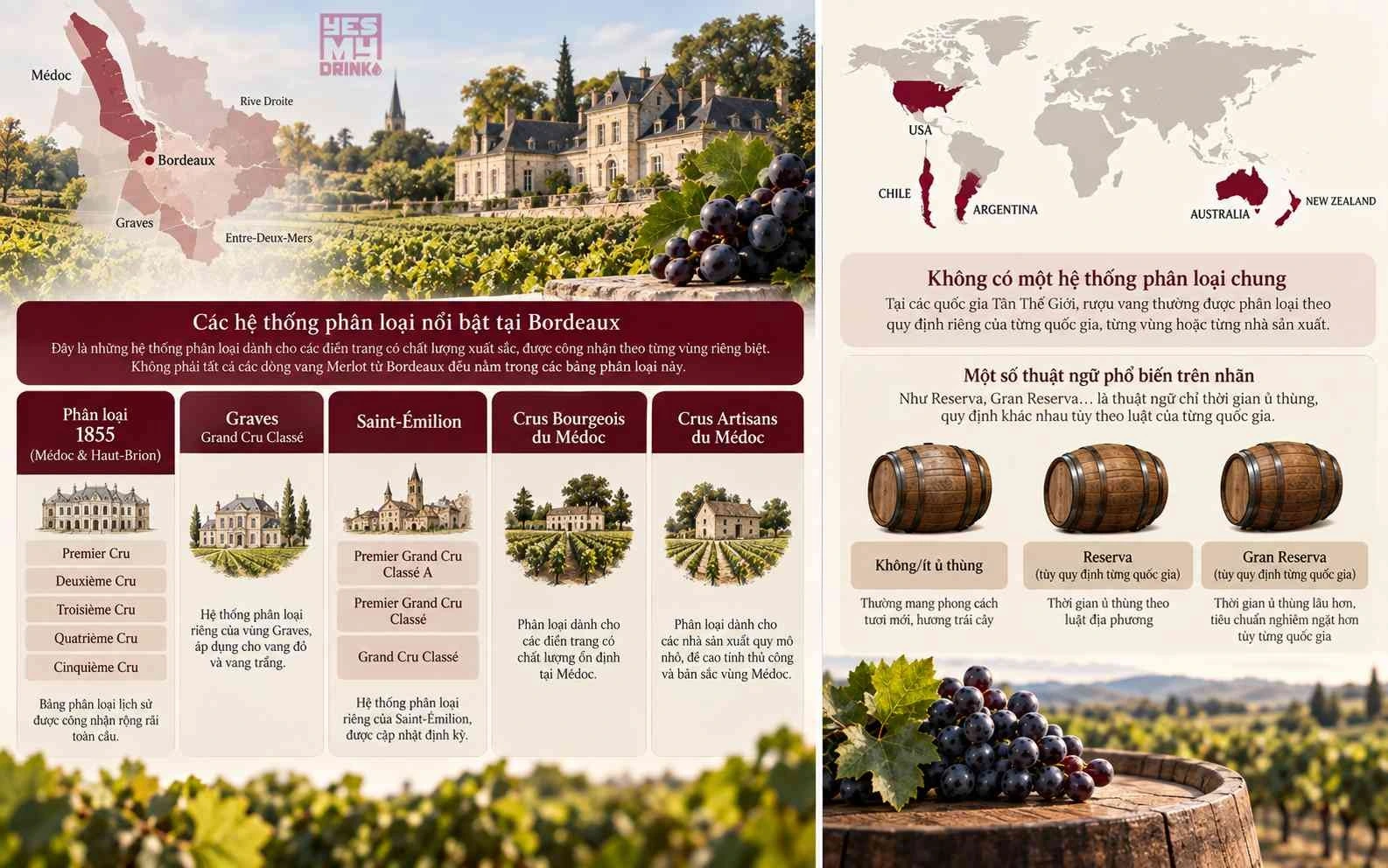 Các hệ thống phân loại rượu vang Merlot phổ biến