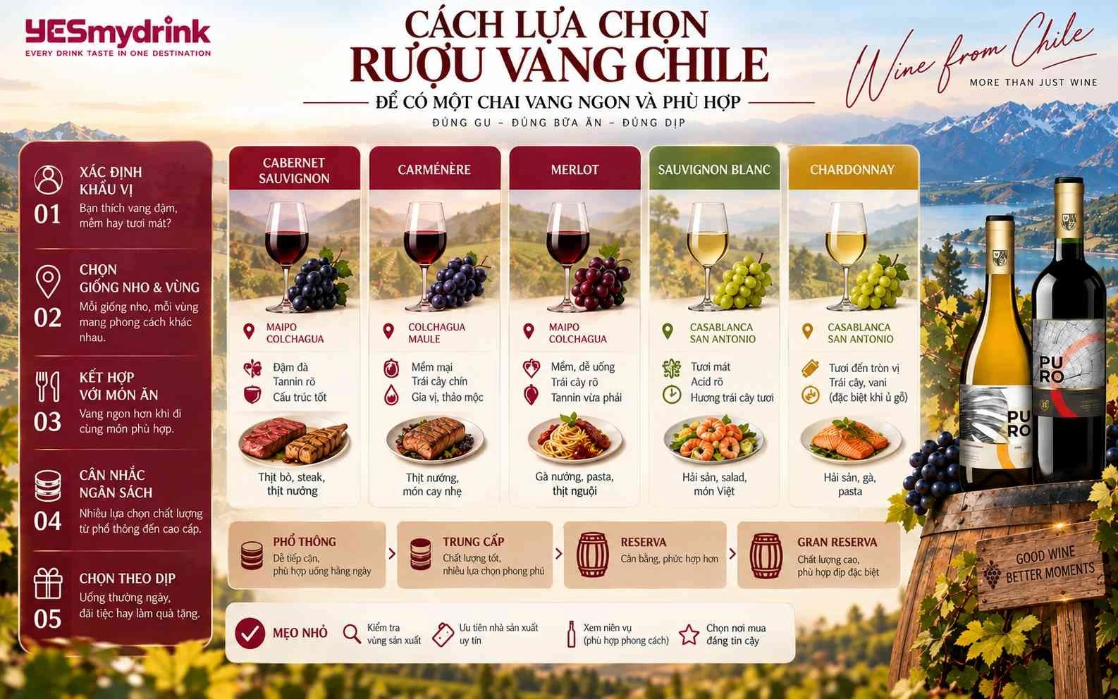 Rượu vang Chile loại nào ngon?