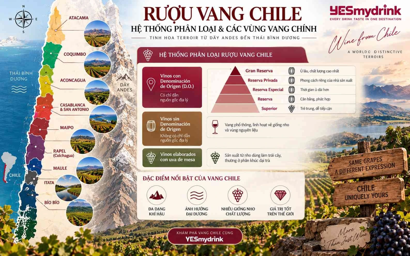 Hệ thống phân loại rượu vang Chile phổ biến