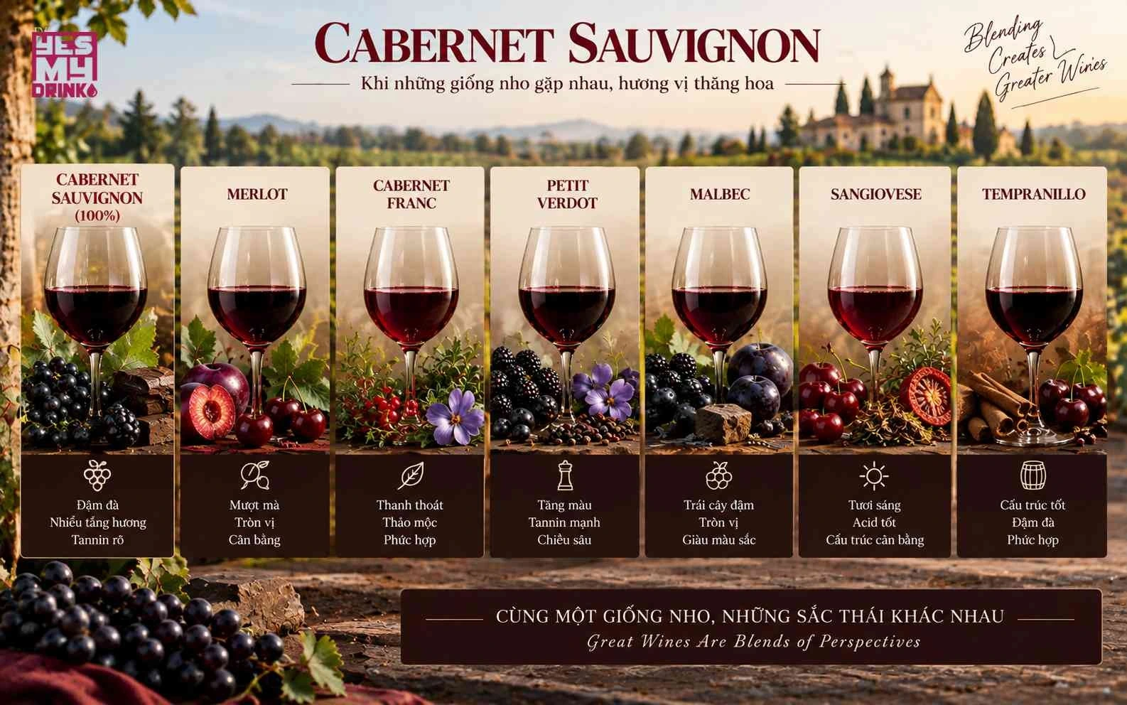 Rượu vang Cabernet Sauvignon được làm đơn giống 100% nho Cabernet Sauvignon và nhiều công thức phối trộn blend khác nhau