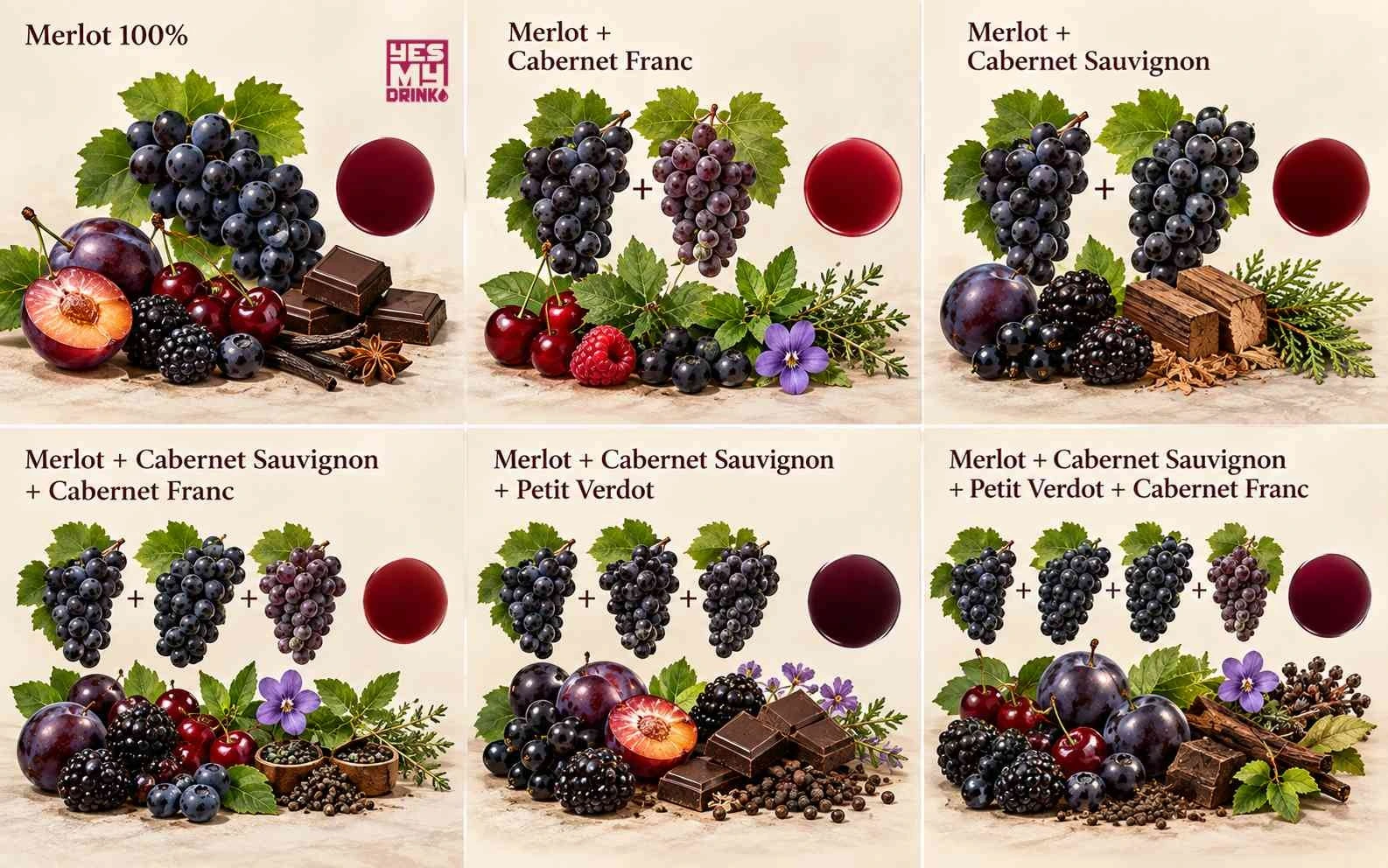 Nho Merlot khi kết hợp với các giống nho khác