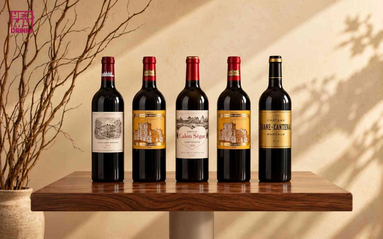 Rượu vang đỏ Cabernet Sauvignon nổi bật tại YESmydrink