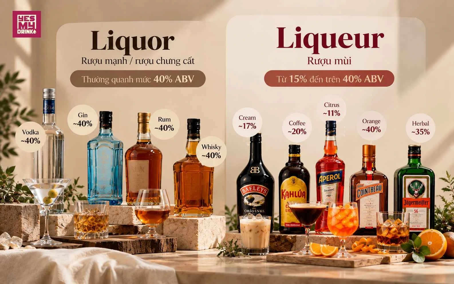 Nồng độ cồn rượu liquor và Liqueur phổ biến