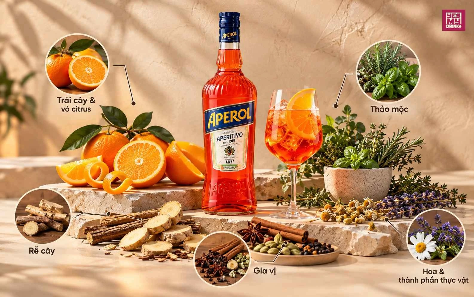 Các nguyên liệu tạo nên rượu Aperitif: cam, thảo mộc, rễ cây và gia vị Các nguyên liệu tạo nên rượu Aperitif: cam, thảo mộc, rễ cây và gia vị