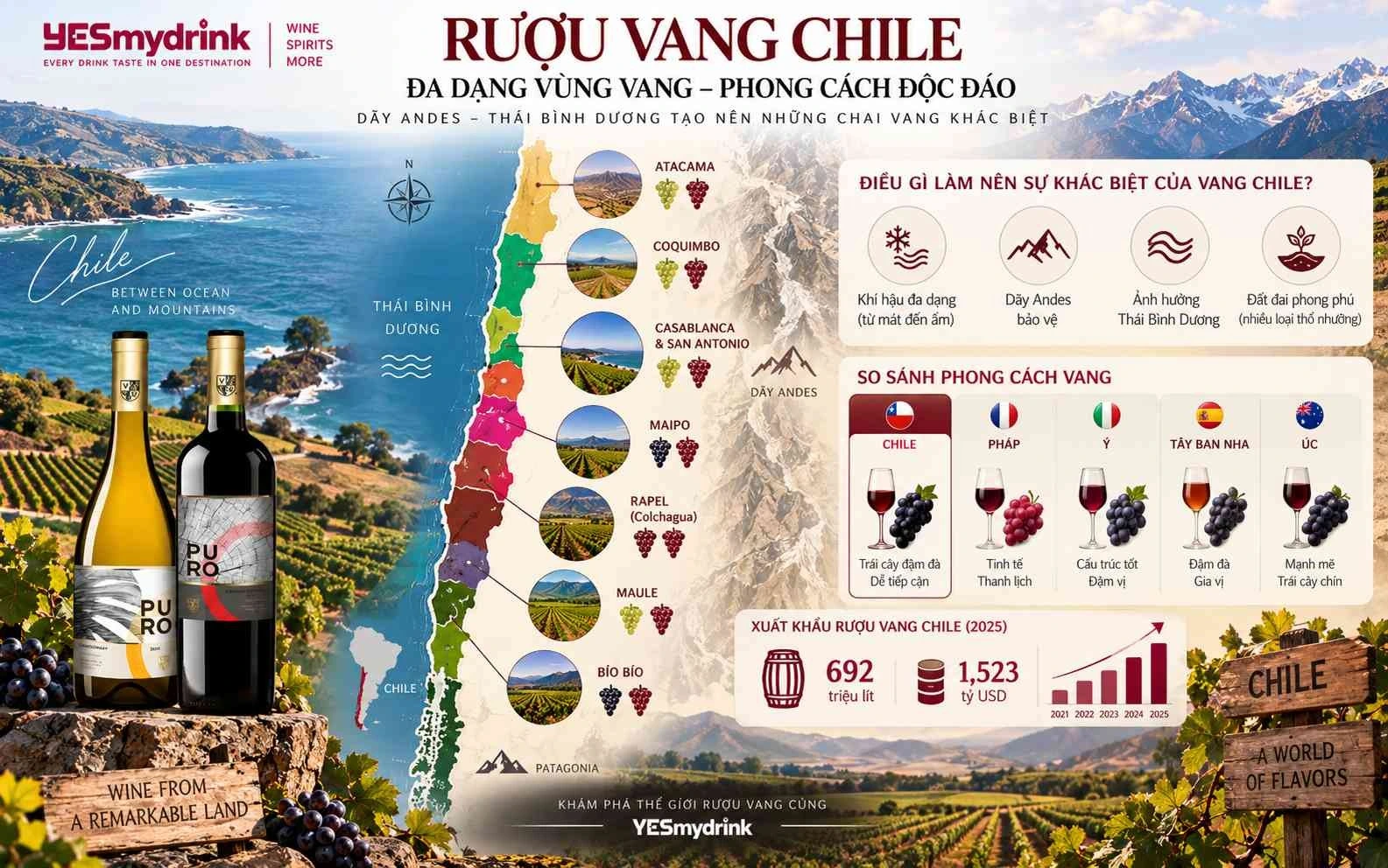 Điều gì làm nên sự khác biệt của rượu vang Chile so với các quốc gia khác?