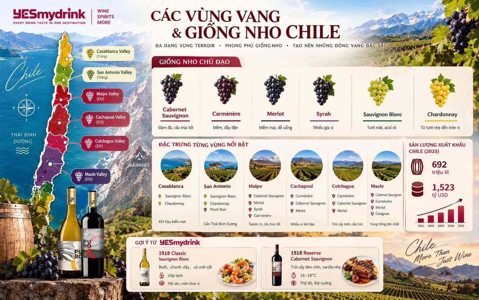 Các vùng vang và giống nho làm rượu vang Chile nhập khẩu