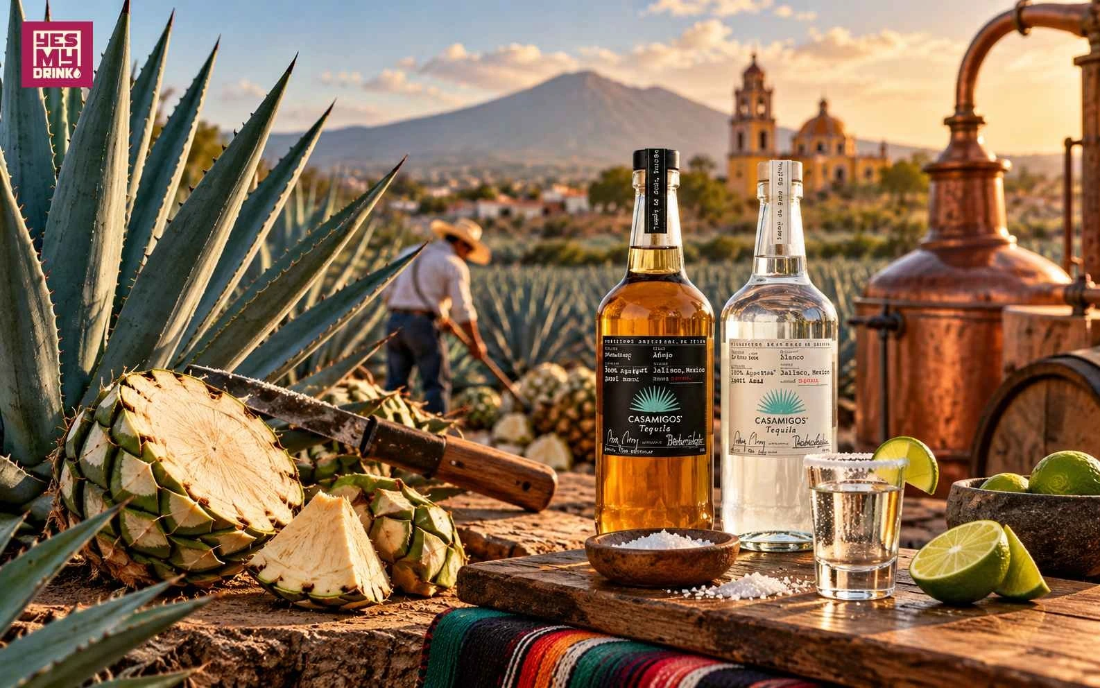 Jalisco là một trong những vùng có vai trò trung tâm trong lịch sử và ngành sản xuất Tequila của Mexico.