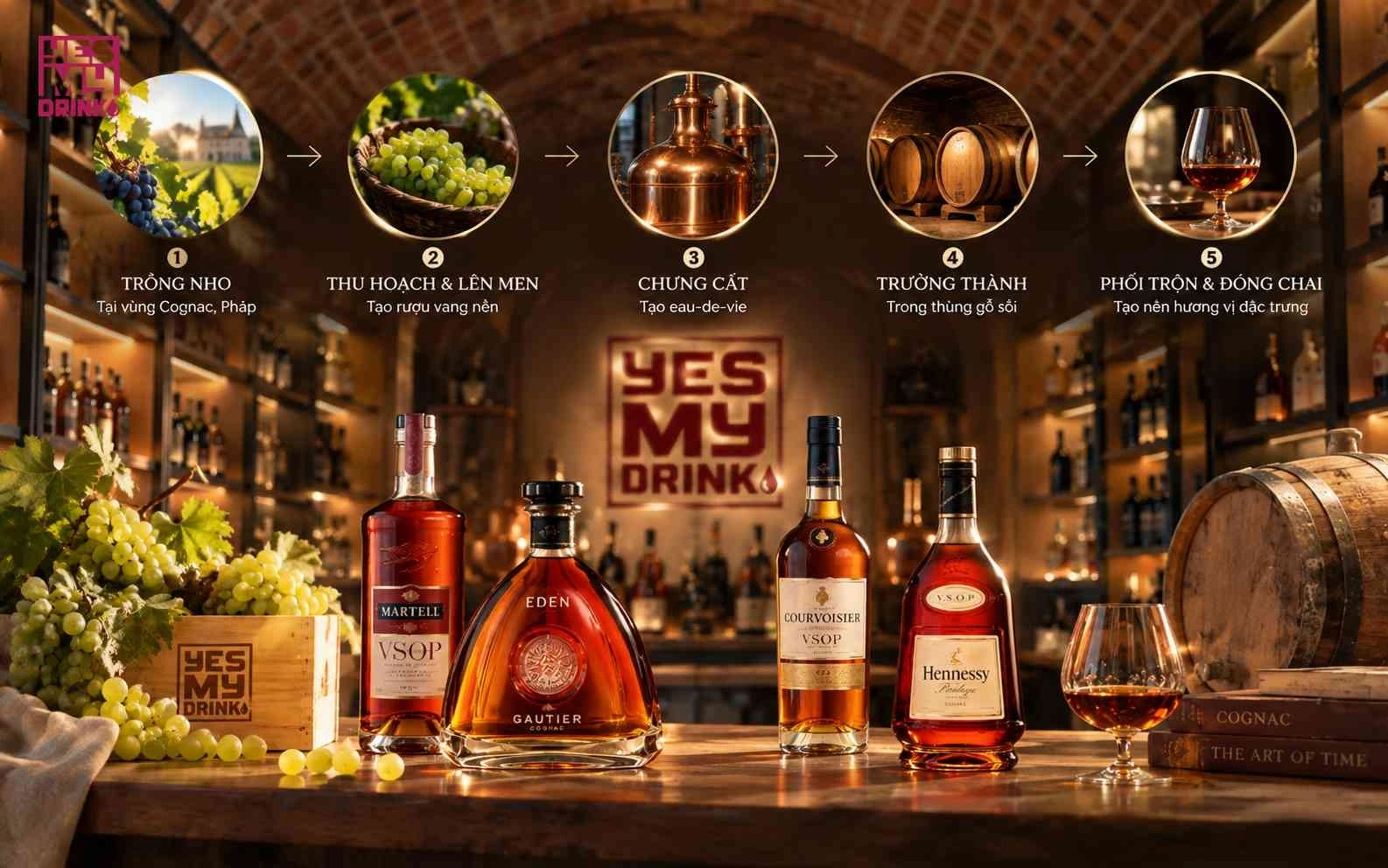 Quy trình sản xuất Cognac từ nho, lên men, chưng cất đến trưởng thành trong thùng gỗ sồi