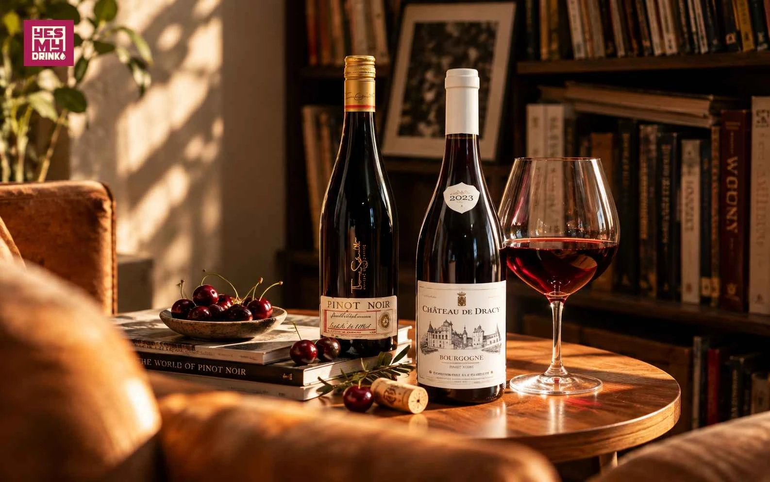 Các đặc điểm màu sắc của rượu vang đỏ Pinor Noir tại YESmydrink Các đặc điểm màu sắc của rượu vang đỏ Pinor Noir tại YESmydrink