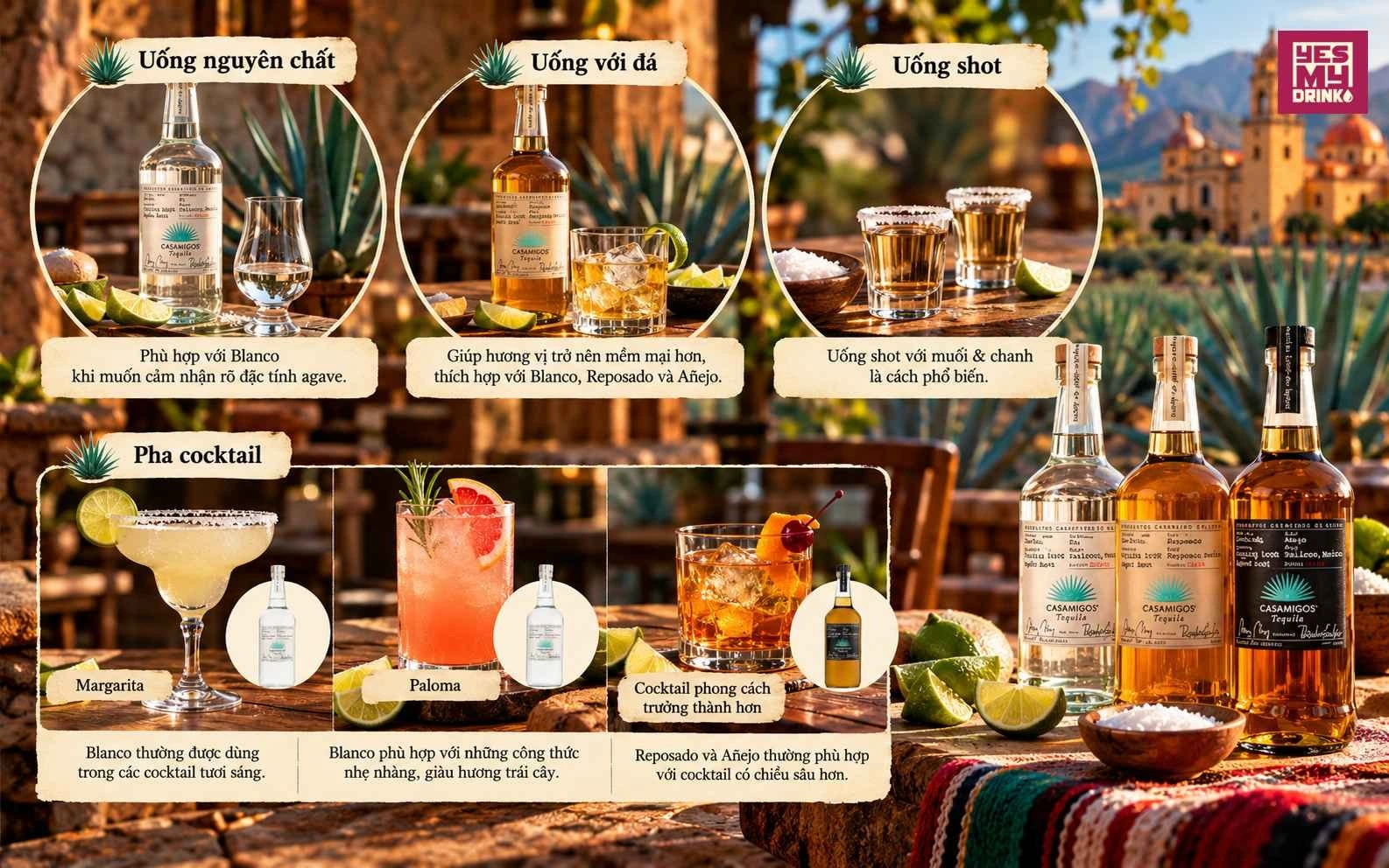 Gợi ý cách uống & thưởng thức rượu Tequila